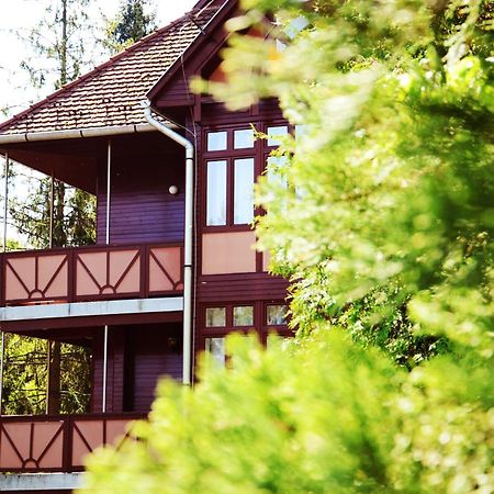 Ezuestfenyo Hotel Telkibánya Eksteriør billede
