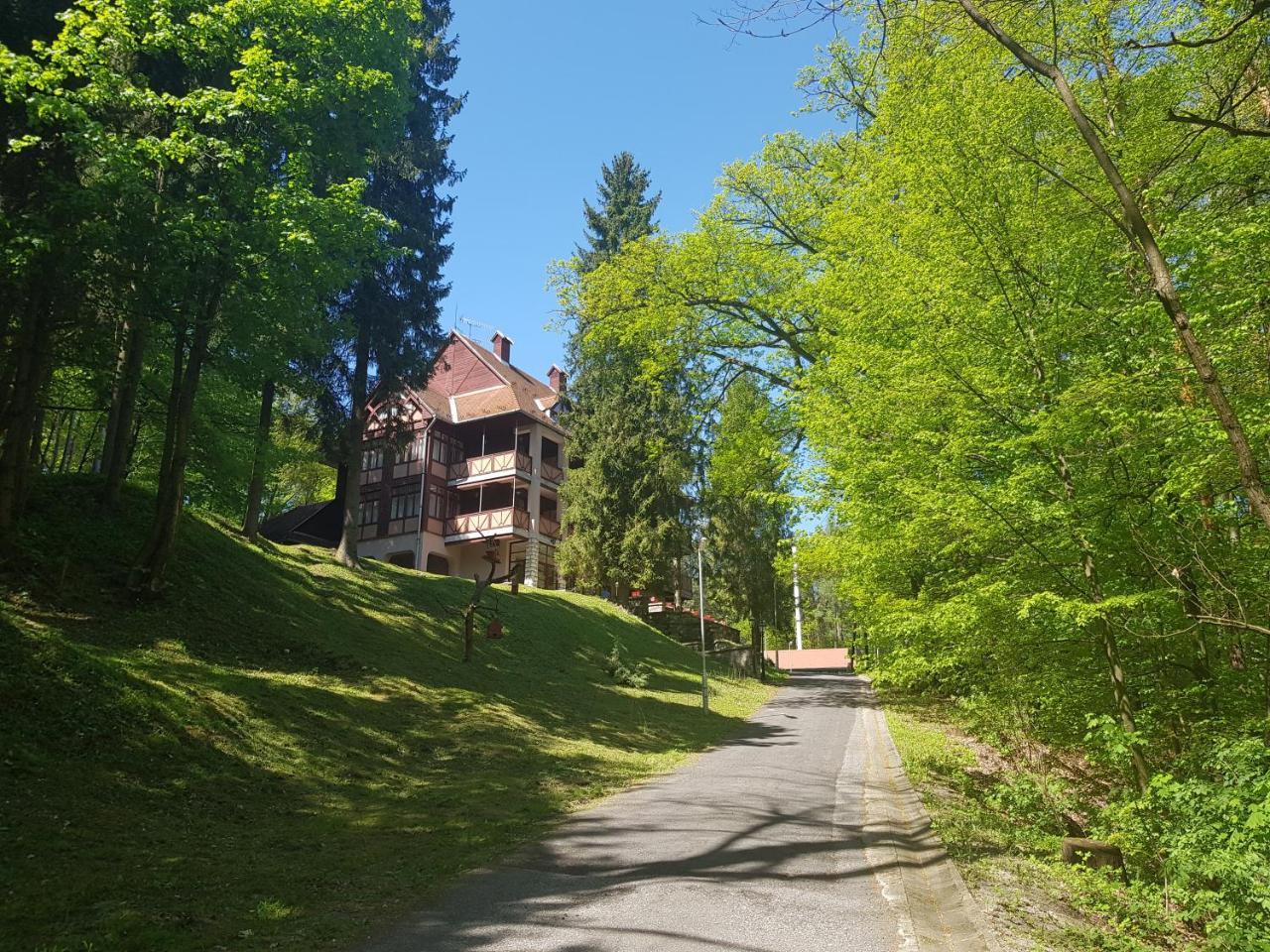 Ezuestfenyo Hotel Telkibánya Eksteriør billede